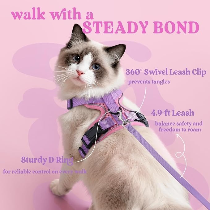 rabbitgoo Cat Harness and Leash Set, Escape Proof Vest, Pink & Light Purple | Soft Breathable Mesh, Easy Adjustable Fit, Snap Buckles, Sturdy Clip, Reflective Strips, for Average Cats Walks, S