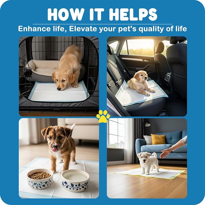 MoMoCo Puppy Pads 23" x 23", 6-Layer Super Absorbent Dog Pee Pads, Leak-Proof Dog Training Pads for Hardwood Floors & Apartments, Flash-Dry Disposable Potty Pads for Puppies & Senior Dogs, 100 Count