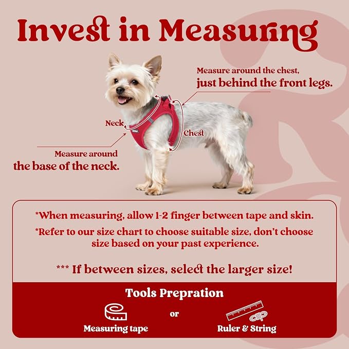 rabbitgoo Step-in Small Dog Harness, Puppy Vest for Small Sized Pet | Easy Put on and off, Lightweight, Soft, Breathable Quick-Dry Air Mesh for Comfortable Secure Walking, Red S