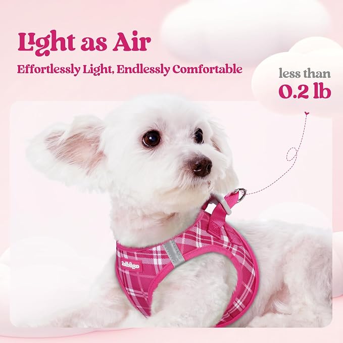 rabbitgoo Dog Harness Medium Sized and Leash Set, Step-in Puppy Pet Vest | Light, Soft, Breathable Air Mesh, Easy on and Remove with Hook & Loop, Secure Reflective for Walking, Rose Red Plaid L