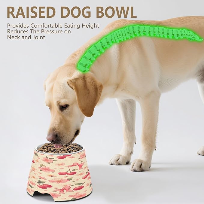 Blueangle Elevated Dog Bowls with Stainless Steel - Non-Slip 2.3 Cup High Capacity Pet Dish for Spinal Health & Cherry with Bow Design（13）