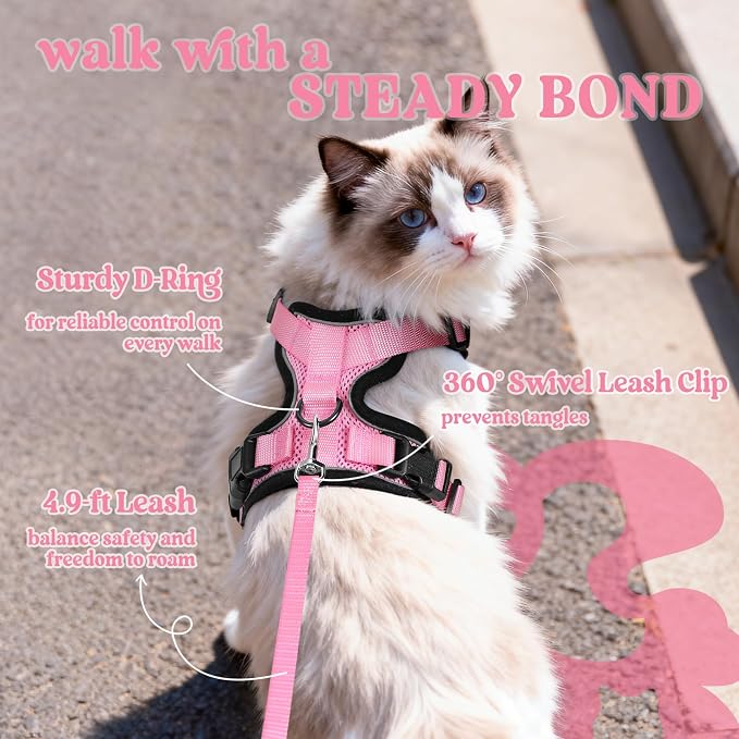 rabbitgoo Cat Harness and Leash Set, Escape Proof Vest, Pink | Soft Breathable Mesh, Easy Adjustable Fit, Snap Buckles, Sturdy Clip, Reflective Strips, for Medium to Large Cats Walks, M