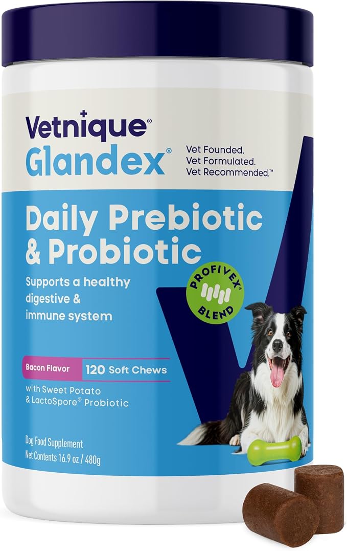 Vetnique Glandex Probiotic Chews for Dogs - 120ct, Bacon Flavor