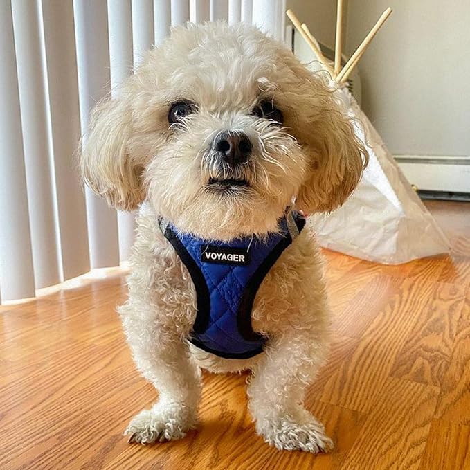 Voyager Step-in Plush Dog Vest Harness -Royal Blue Faux Leather, X-Small | 13 - 14.5" in Chest, Soft Plush, Reflective Bands, Cold-Weather Harness, Cats Compatible. Step-In Style,