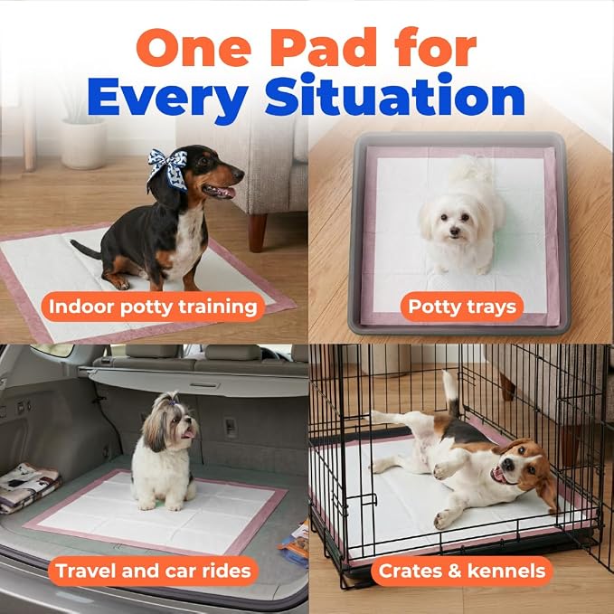 Best Pet Supplies Puppy Pads (22.5 x 22 Inches) - Disposable, Dog Training Potty , Super Absorbent Baby Pink Puppy Pee Pads for Dogs (100 Count)