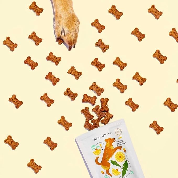 Inner Glow Digestive Dog Treats - Gut Health Support with Prebiotics, Dandelion & Chaga - Vet Formulated for Diarrhea Relief & Immune Support - Organic, Vegan, 2-Pack