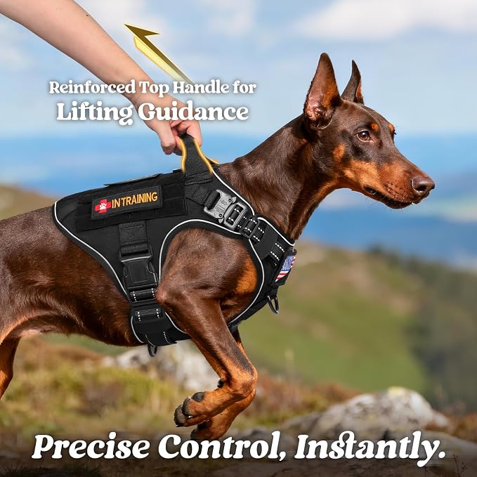 rabbitgoo Tactical Dog Harness for Medium, Heavy Duty Military No Pull Vest | Sturdy Metal Buckles, 5 Adjustments, Molle System, Powerful Pullers for Training, Hunting, Outdoor, Black Reflex, Medium