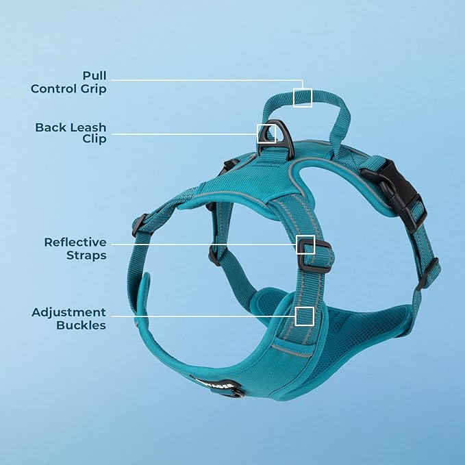 Voyager Dual Attachment No Pull Harness - Turquoise, Medium | 20 - 25" in Chest, No Pull Dog Harness, Fully Adjustable, 3M Reflective Technology, Front & Back D-Rings, Walking & Training