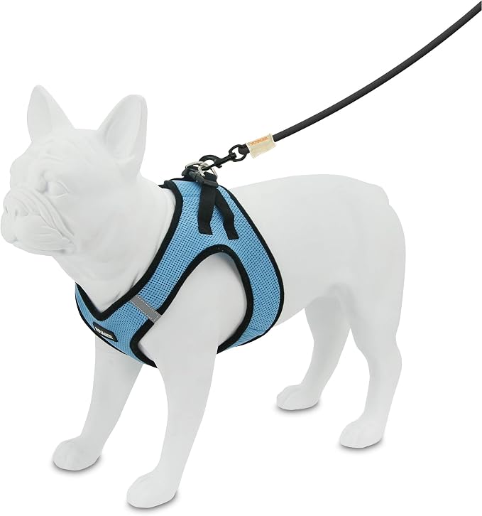 Voyager Step-in Air Dog Vest Harness - Baby Blue/Black Trim, Large | 18- 20.5" in Chest, Reflective Bands, All Weather Breathable Air Mesh, Cats Compatible, Lightweight, Fast Drying