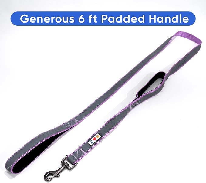 Pawtitas Double Handle Dog Leash Heavy Duty for Training No Pull Leashes Ideal for Medium and Large Dogs | Great for Walking, Running & Training Dog Leash - Medium/Large - Purple
