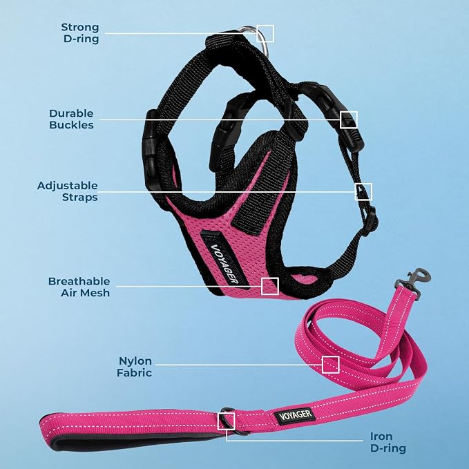 Best Pet Supplies Voyager Step-in Lock Pet Harness w Reflective Pet Leash Combo Set with Neoprene Handle 5ft - Supports Small, Medium and Large Breed Puppies/Cats - Fuchsia/Black Trim Set, XS