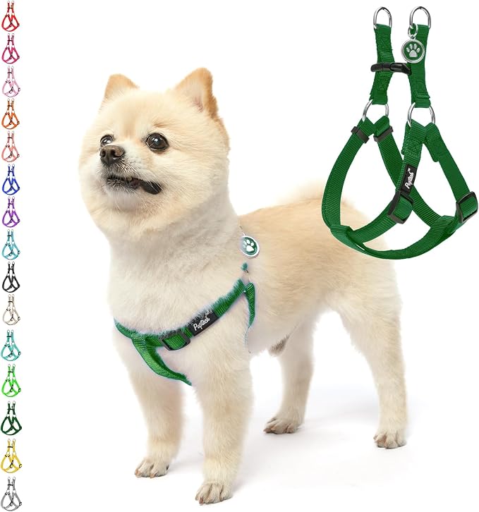 PUPTECK No Pull Dog Harness Small Sized Step-in Adjustable Puppy Vest | Soft Webbing Basic Halter with ID Tag for Outdoor Walking