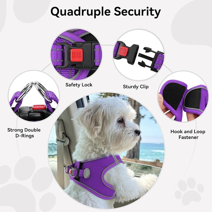 Joytale Step-in Dog Harness, Soft Breathable Mesh, Purple M | Adjustable Fit for Small Dogs, Easy Step-in with Secure Fastener, Even Chest Pressure, Reflective For Night Safety, Washable