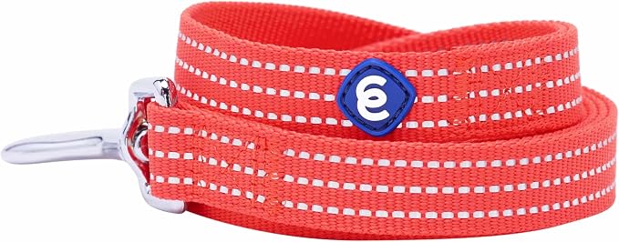 Blueberry Pet Essentials Reflective Better Basics Matching Dog Collar and Leash Set in Fiery Red, Adjustable Collar with 5 ft Leash for Small Dogs