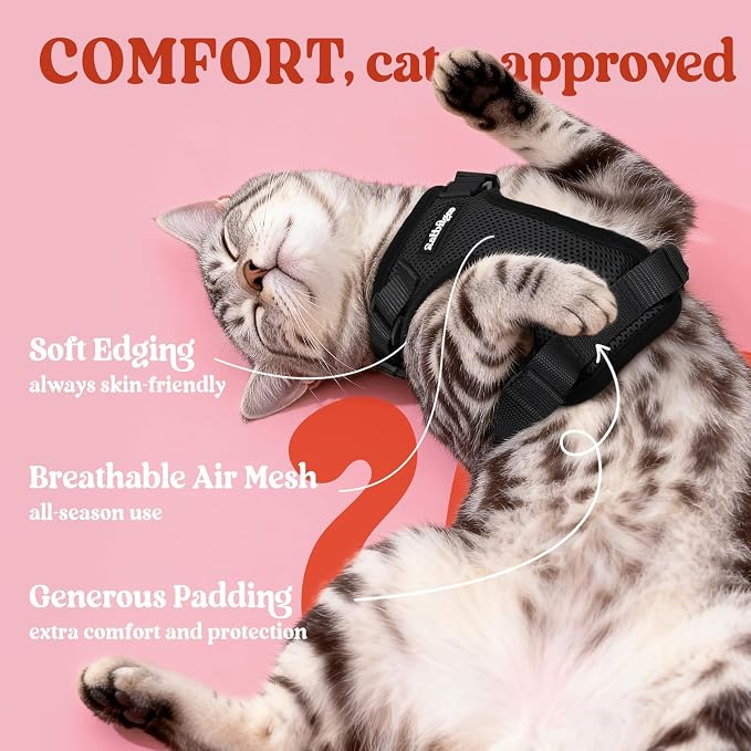 rabbitgoo Cat Harness and Leash Set, Escape Proof Vest, Black | Soft Breathable Mesh, Easy Adjustable Fit, Snap Buckles, Sturdy Clip, Reflective Strips, for Medium to Large Cats Walks, M