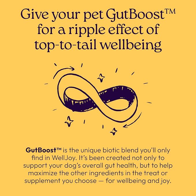 WellJoy Immune Dog Supplement + Vitamin E, Astaxanthin, GutBoost, 90ct