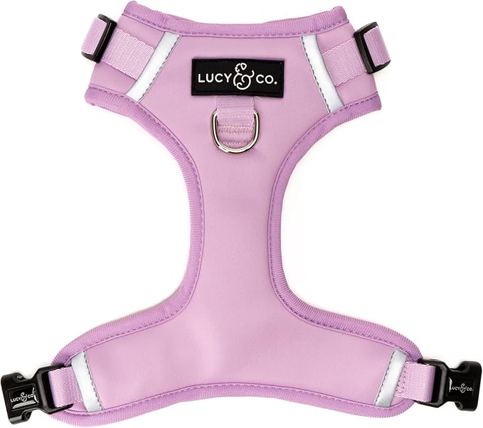 Lucy & Co. No-Pull Dog Harness - Water-Resistant Neoprene, Front & Back Leash Attachments, Padded Mesh Interior, Adjustable Neck & Chest Straps for Everyday Adventures - Bouquet - XL