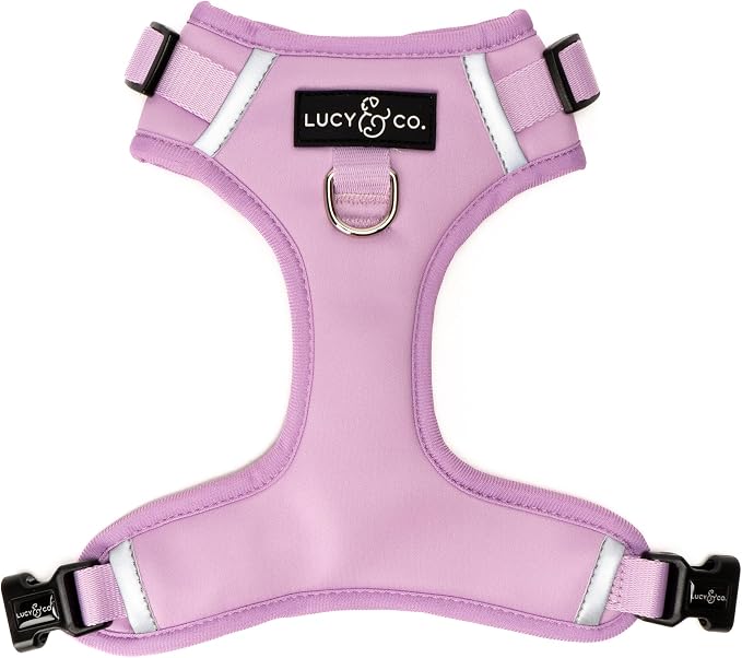 Lucy & Co. The Bouquet No-Pull Dog Harness - Size Small - Vest to Stop Pulling & Walk Easy - Comfortable Leash Training Product w/Adjustable Chest & Neck Straps