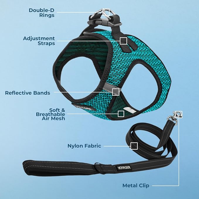 Best Pet Supplies Voyager Step-in Air All Weather Mesh Harness and Reflective Dog 5ft Leash Combo with Neoprene Handle, for Small, Medium and Large Breed Puppies - Turquoise 2-Tone, Medium