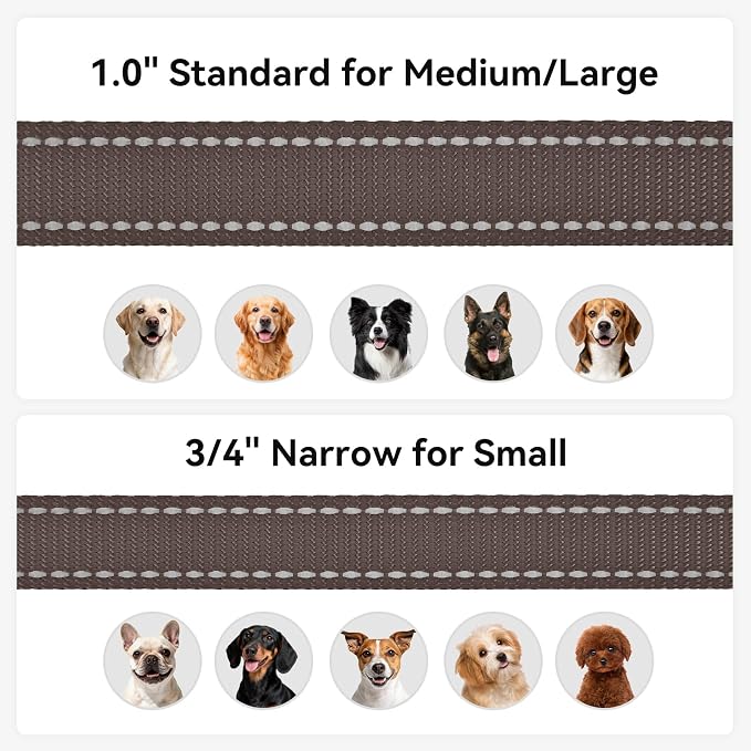 Joytale Reflective Dog Leash for Medium & Large Dogs, 5 FT x 1", Brown | Heavy Duty Nylon Webbing, Padded Handle for Comfort, Visible at Night, for Walking & Training