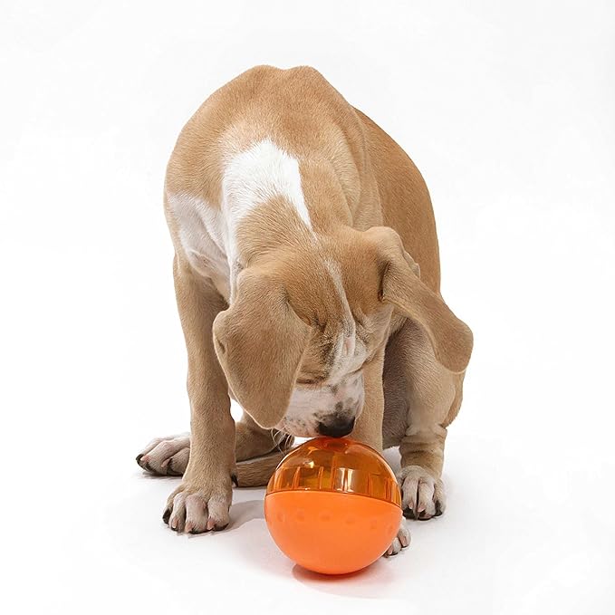 OurPets IQ Treat Ball Interactive Food Dispensing Dog Toy, 4 Inches (2 Pack)(colors may vary)
