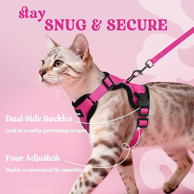 rabbitgoo Cat Harness and Leash Set, Escape Proof Vest, Rose Red | Soft Breathable Mesh, Easy Adjustable Fit, Snap Buckles, Sturdy Clip, Reflective Strips, for Kittens & Small Cats Walks, Xxs