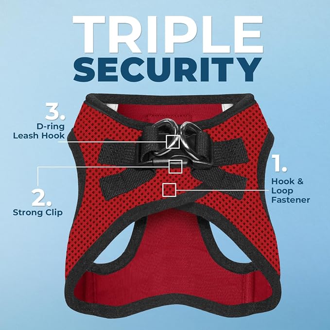 Best Pet Supplies Voyager Step-in Air All Weather Mesh Harness and Reflective Dog 5ft Leash Combo with Neoprene Handle, for Small, Medium and Large Breed Puppies - Red/Black Trim, X-Small