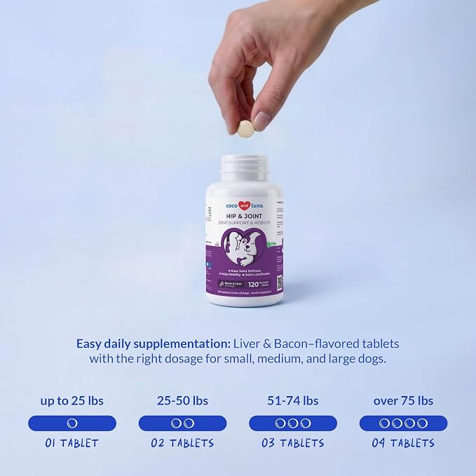 Hip & Joint for Dogs 120 Tablets - Glucosamine, MSM & Chondroitin