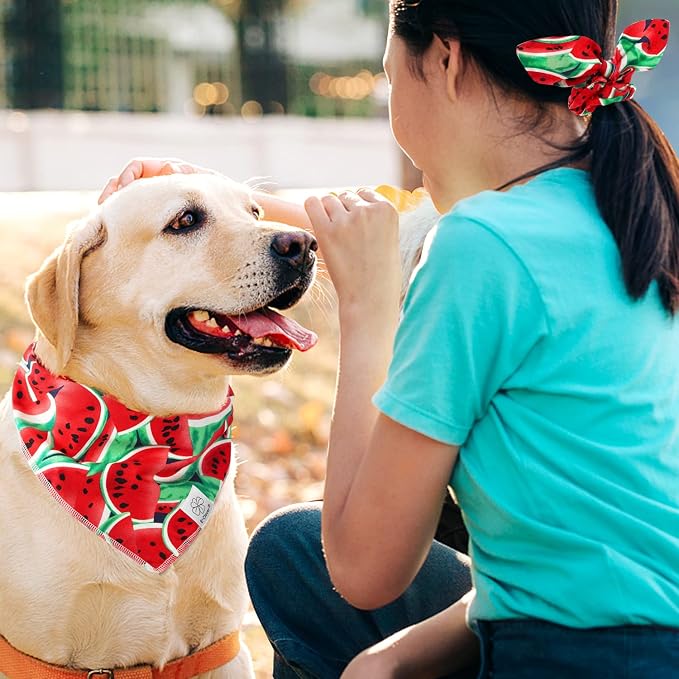 E-Clover Summer Dog Bandanas Girl Matching Dog Bandana and Scrunchie Large, Large-set of 1, Large