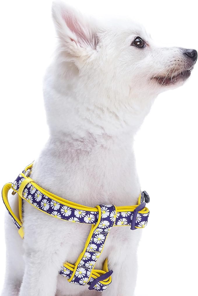 Blueberry Pet 2 Patterns Soft & Comfy Step-in Loving Daisy Prints Padded Dog Harness, Chest Girth 16.5" - 21.5", Small, Adjustable Harnesses for Dogs