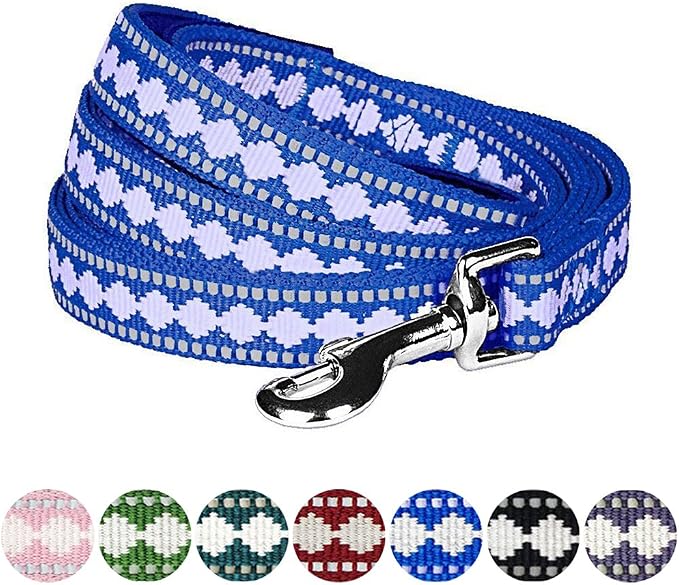 Blueberry Pet 3M Reflective Jacquard Dog Leash with Soft & Comfortable Handle, 5 ft x 3/4", Palace Blue, Medium, Leashes for Dogs