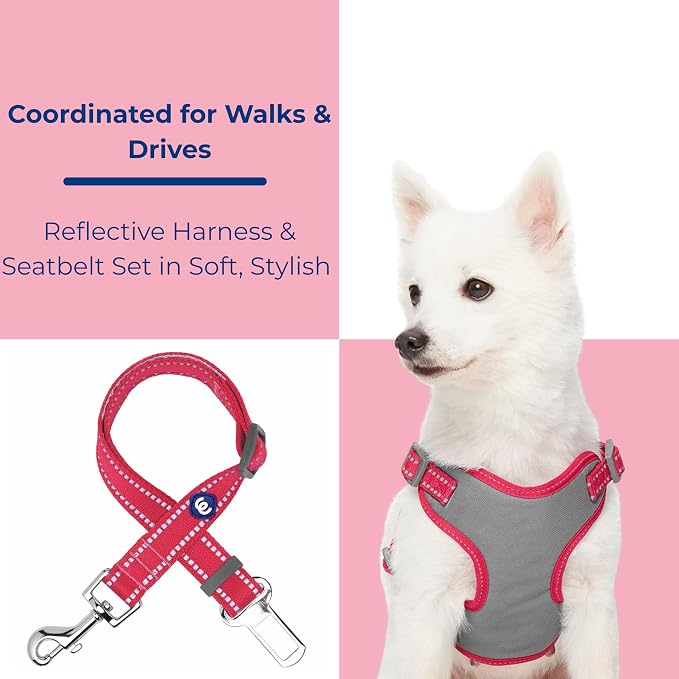 Blueberry Pet Pastel Colored Reflective Dog Harness with Seatbelt Clip – Adjustable No-Pull Pet Vest for Walking and Car Safety, Small Size in Very Berry