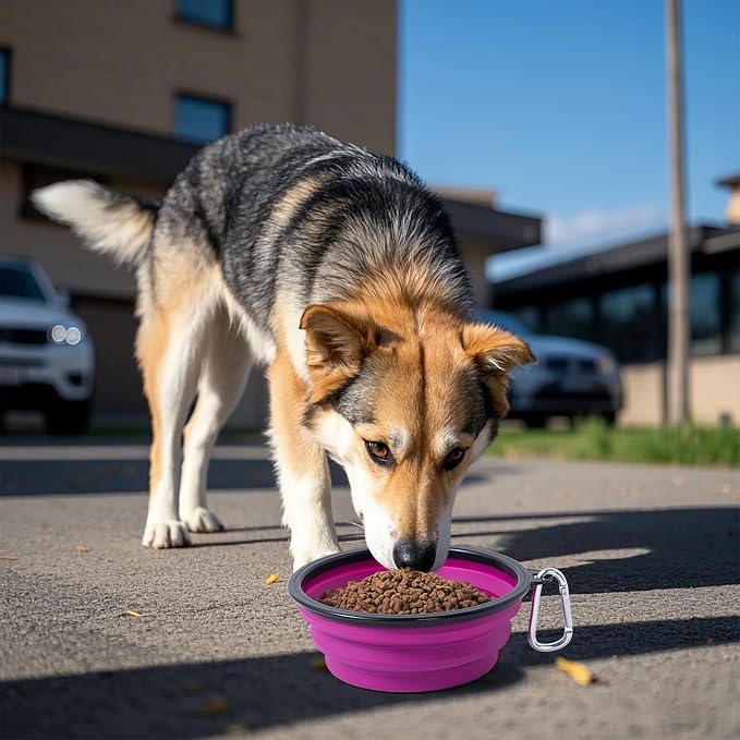 Dog Bowl Collapsible, 2 Pack, with Carabiners, Medium, Pink+Purple