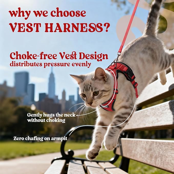 rabbitgoo Cat Harness and Leash Set, Escape Proof Vest, Red | Soft Breathable Mesh, Easy Adjustable Fit, Snap Buckles, Sturdy Clip, Reflective Strips, for Average Cats Walks, S