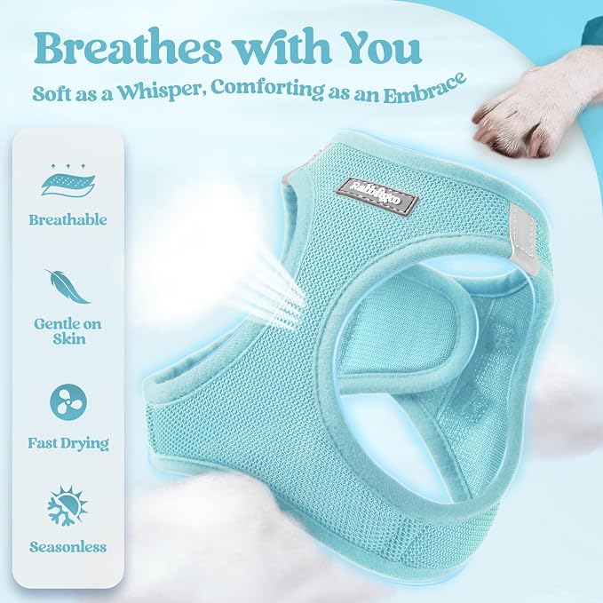 rabbitgoo Dog Harness Small Sized and Leash Set, Step-in Puppy Pet Vest | Light, Soft, Breathable Air Mesh, Easy on and Remove with Hook & Loop, Secure Reflective for Walking, Mint Blue XXXS