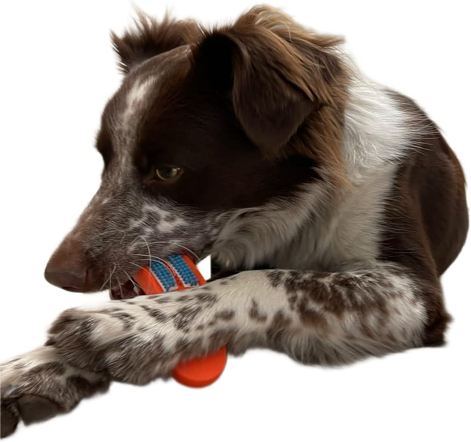 Bully Brushir Dog Toothbrush Oral Care Dental Care Teeth Cleaning … (Small for Dogs 10 to 48 lbs)