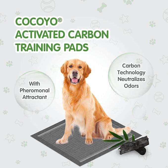 COCOYO Dog Training Pads Extra Large Size丨Carbon Absorb Eliminating Urine Odor Puppy Pads 丨 Premium Charcoal Dog Pee Pads (40 Count, XXL 30x36 inch),Black