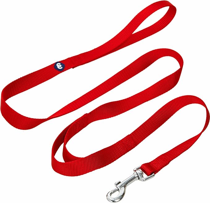 Blueberry Pet Essentials Double Handle Dog Leash for Traffic Control | 5ft. x 3/4" Medium Dog Leash | Classic Dog Leash with Two Handles for Dogs That Pull | Nylon 2 Handle Dog Leash in Rouge Red