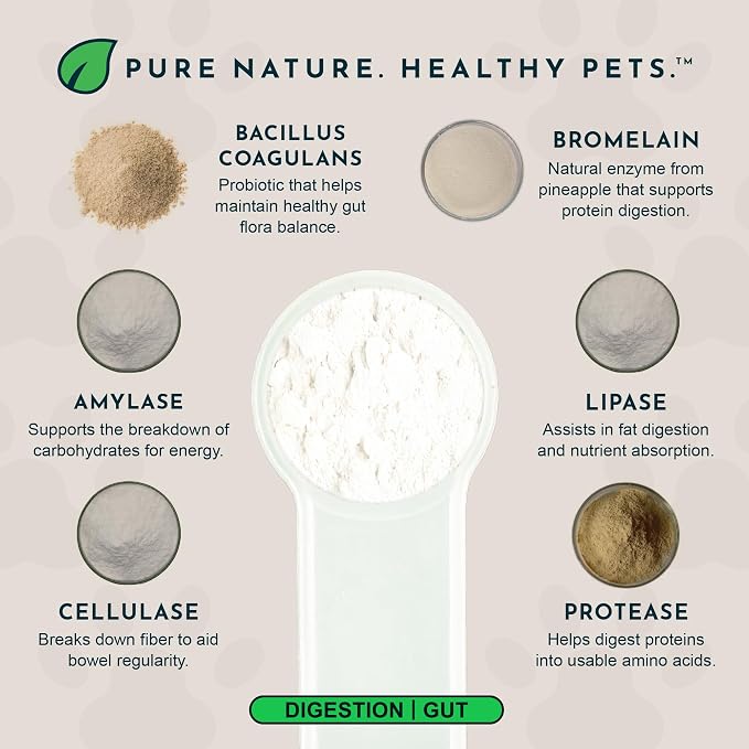 Animal Essentials Plant Enzyme & Probiotics - Probiotics & Digestive Enzymes for Dogs & Cats, Natural Daily Gut & Digestion Support Supplement for Pets, Plant Based - 10.6 oz