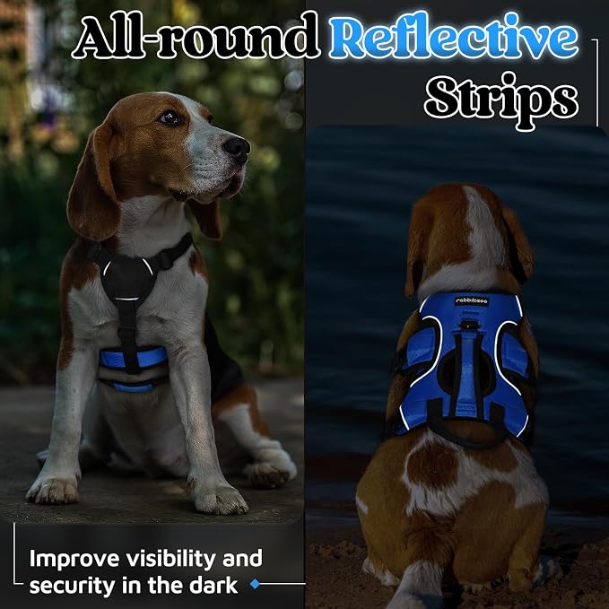 rabbitgoo Escape Proof Dog Harness for Small, No Pull with Lift Handle | No Escape, Full Soft Padded, Reflective Adjustable Vest, Leash Clip for Walking Hiking Training, Blue, Small
