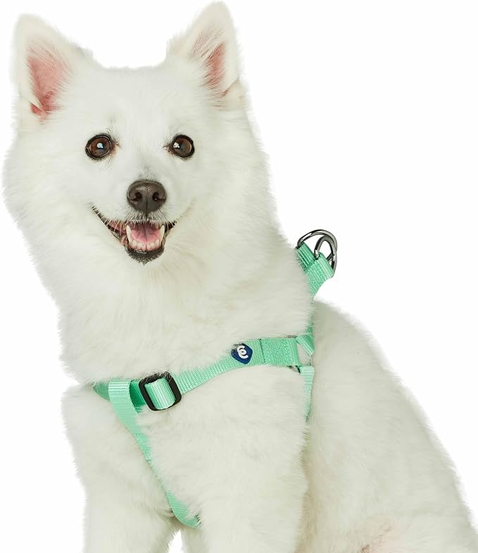 Blueberry Pet Essentials Step-in Dog Harness, Small Size | Adjustable Pastel Green Vest | Classic Solid Nylon for Boy & Girl Dogs, Chest Girth 16.5" - 21.5"