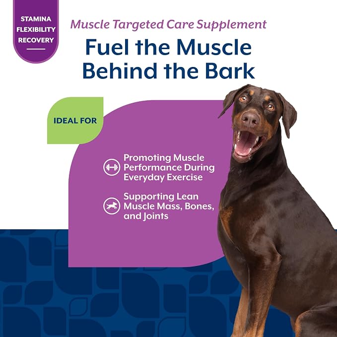 NaturVet Muscle Targeted Care Hip & Joint Supplement for Dogs - 60 Ct