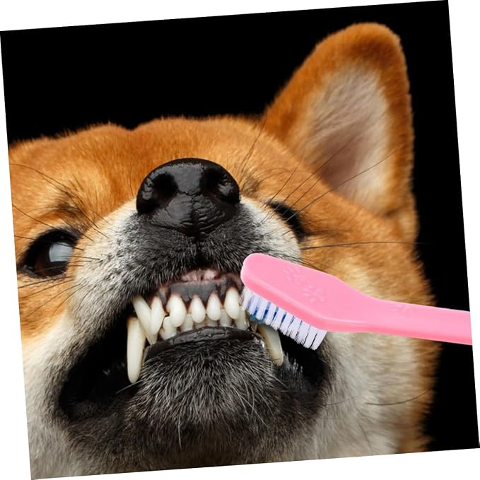 Levemolo 12Pcs Dual Head Dog Toothbrush Soft Bristle Pet Care Comfortable Cleaning for Dogs Oral