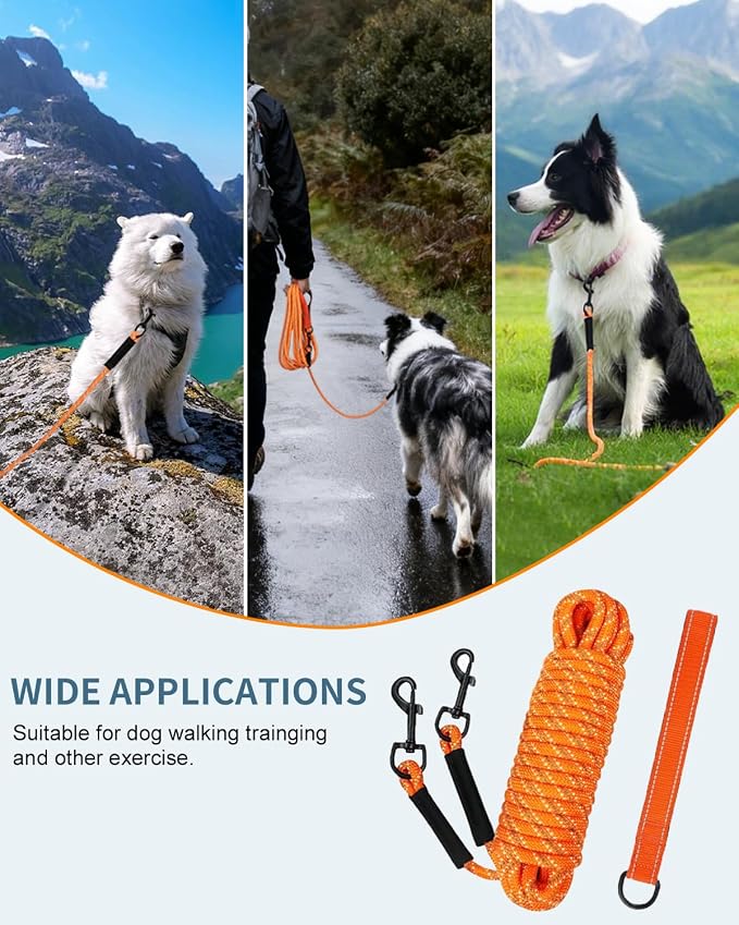 Taglory Long Dog Leash with Removable Padded Handle Tie Out, 15/30/50/66FT Heavy Duty Training Leash with 2 Swivel Hooks for Large Medium Small Dogs Camping, Hiking, Walking, Backyard, Orange, 15FT