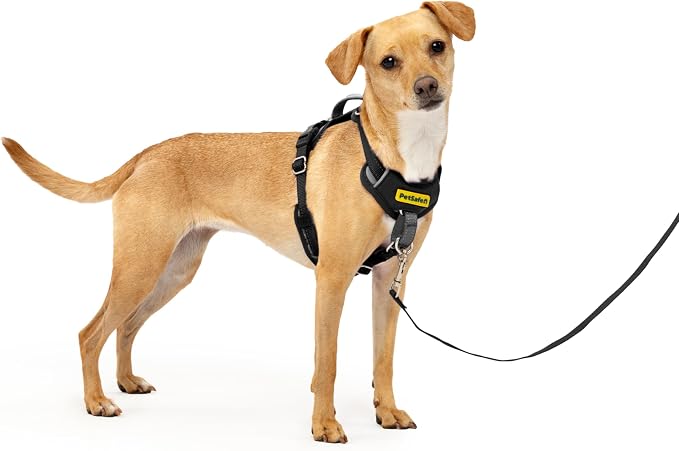 PetSafe Easy Walk Comfort No Pull Dog Harness, Black, Extra Small | Stops Pulling on First Use with Front Martingale Loop, Full-Body Padding, 5-Point Adjustable Fit