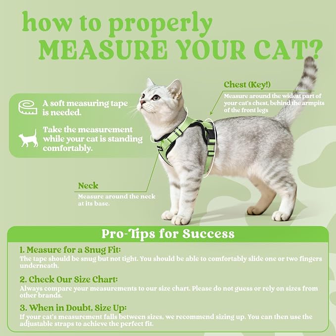 rabbitgoo Cat Harness and Leash Set, Escape Proof Vest, Light Green | Soft Breathable Mesh, Easy Adjustable Fit, Snap Buckles, Sturdy Clip, Reflective Strips, for Small & Average Cats Walks, Xs