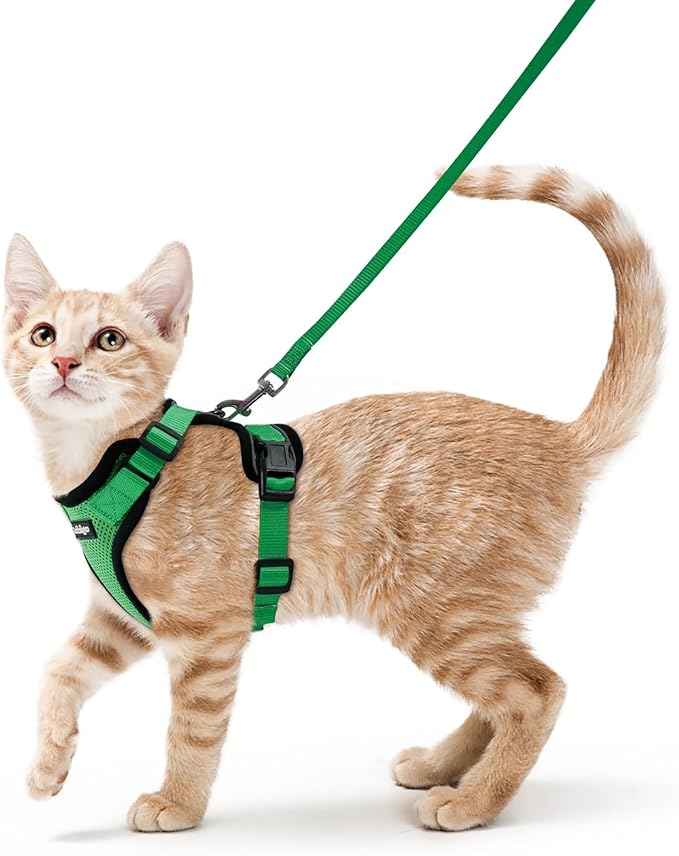 rabbitgoo Cat Harness and Leash Set, Escape Proof Vest, Grass Green | Soft Breathable Mesh, Easy Adjustable Fit, Snap Buckles, Sturdy Clip, Reflective Strips, for Small & Average Cats Walks, Xs