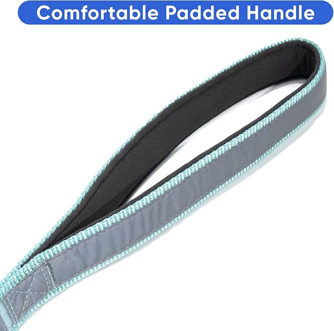 Pawtitas Double Handle Dog Leash Heavy Duty for Training No Pull Leashes Ideal for Medium and Large Dogs | Great for Walking, Running & Training Dog Leash - Medium/Large - Teal