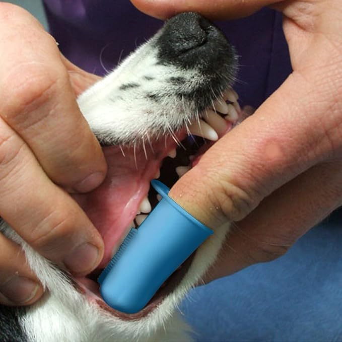 Pet Republique Enzymatic Dog Toothpaste Kit with Finger Toothbrushes Cats and Dogs Dental Cleaning Kit - 3.5 oz Beef Flavor Toothpaste, 3 Silicon Finger Toothbrushes, 1 Mini Handle Toothbrush