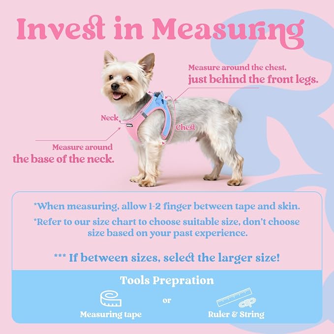 rabbitgoo Step-in Small Dog Harness, Puppy Vest for Small Sized Pet | Easy Put on and off, Lightweight, Soft, Breathable Quick-Dry Air Mesh for Comfortable Secure Walking, Blue & Light Pink S